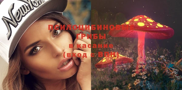 сатива Семёнов