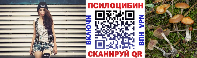 Галлюциногенные грибы ЛСД  купить наркотик  Ардатов 